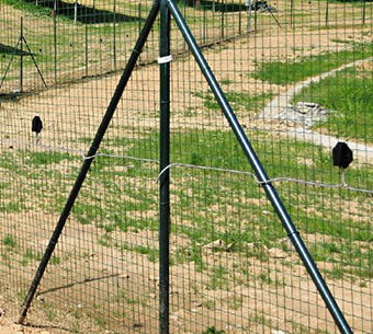 Perimetrický zabezpečovací systém pro stavby Peridect